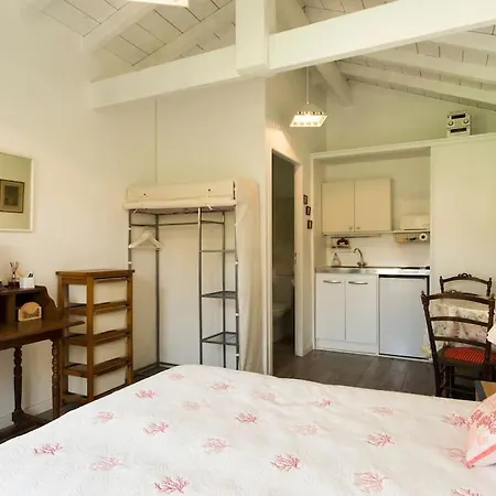 木屋 Independant Dans Un Jardin - Hossegor 索尔特奥瑟戈尔